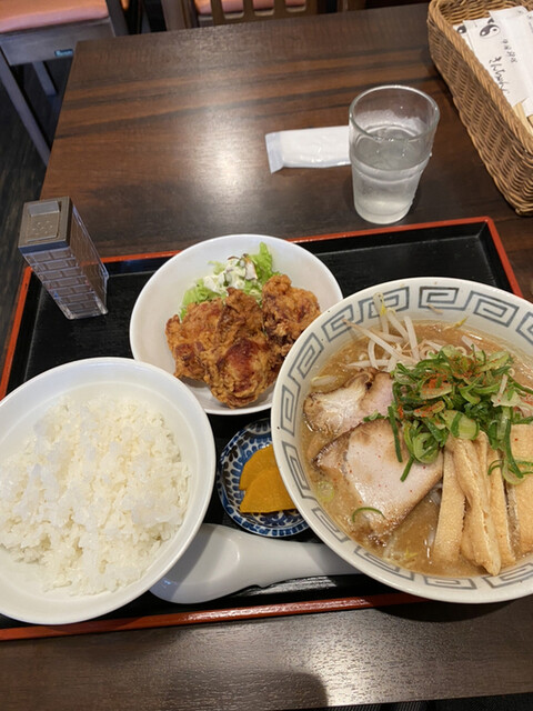 きんちゃん的实拍高清图