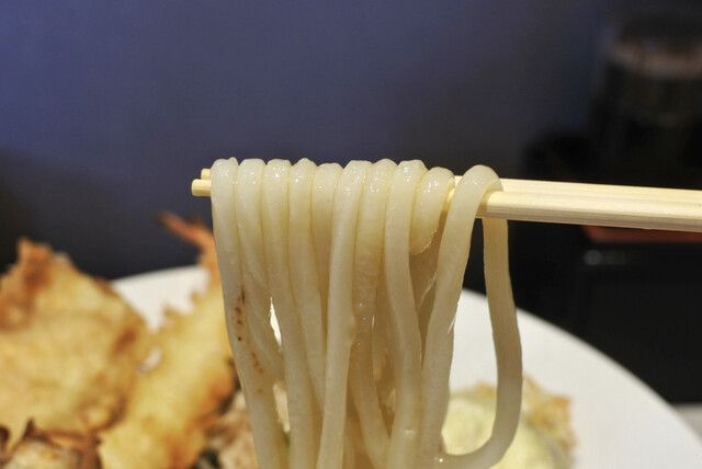 recommendations image for 島田本気うどん