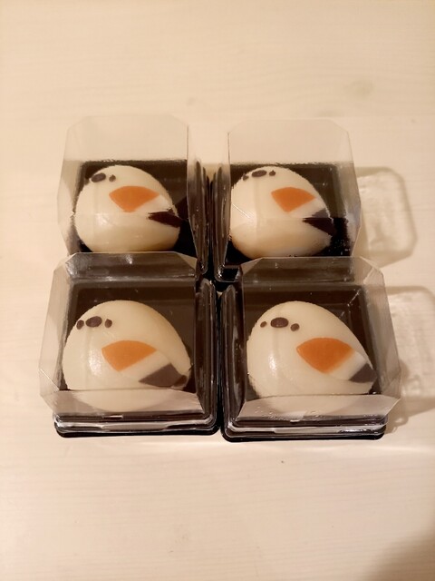 つくし牧田的实拍高清图