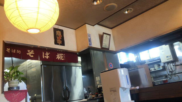 そば椛的实拍高清图