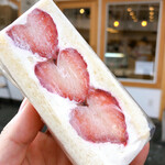 recommendations for emu