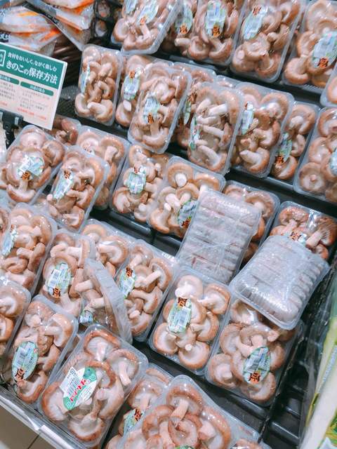 KOHYO 京都店的實拍高清圖