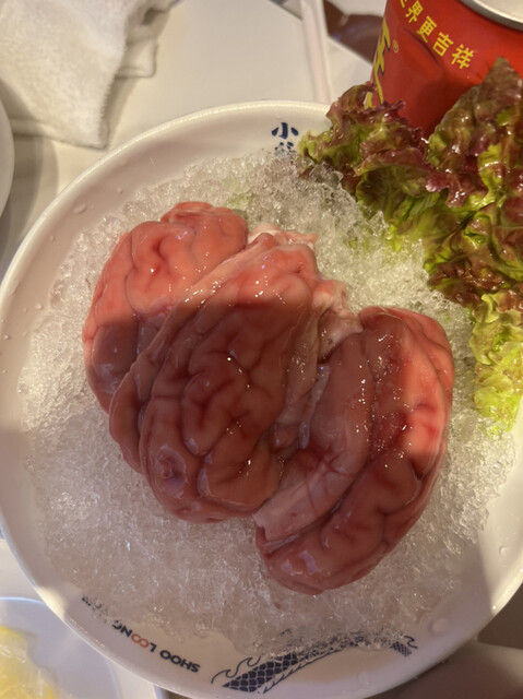 小龍坎火鍋 上野店的实拍高清图