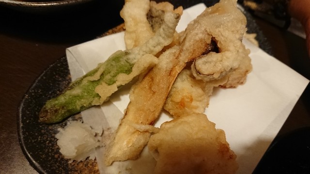 時の宿 氷竜的实拍高清图