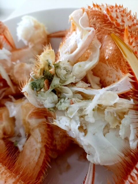 おたる夢市場的實拍高清圖