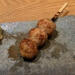 熾どり的实拍图