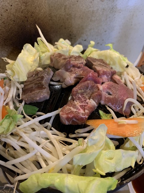 羊メリー号的实拍高清图