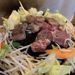 羊メリー号的实拍图