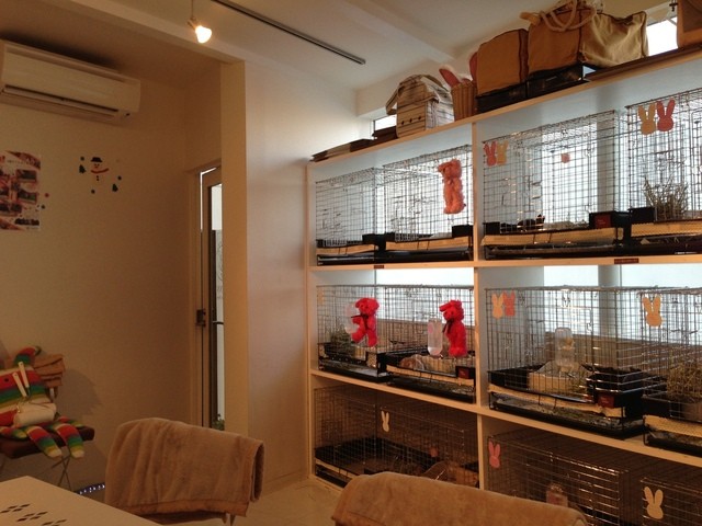 recommendations image for ミス・バニー