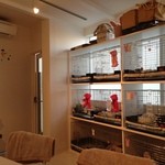 recommendations for ミス・バニー