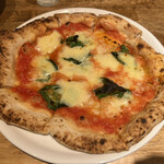 recommendations for Daniel's Mondo