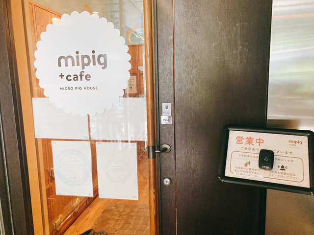 マイピッグカフェ 大阪店的實拍高清圖