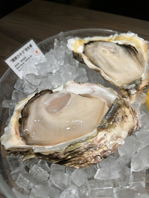 オストレア oysterbar&restaurant  赤坂見附店的實拍高清圖
