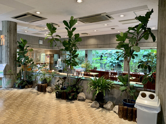 夢の島カフェ的實拍高清圖