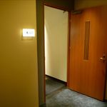 文次郎的实拍图