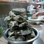 サロマ湖とばろう村的实拍图