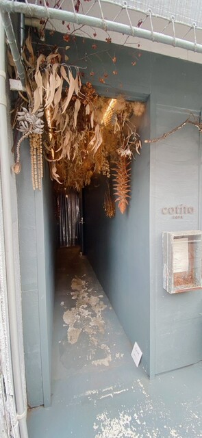 コチト ハナトオカシト的實拍高清圖