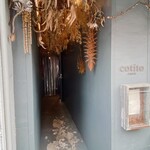 コチト ハナトオカシト的實拍圖