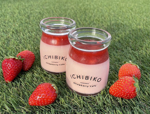 recommendations for ICHIBIKO 北海道ボールパークFビレッジ店