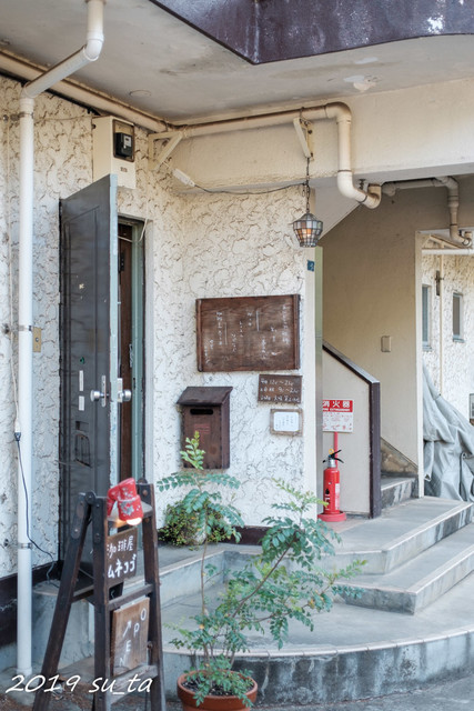 トムネコゴ的實拍高清圖