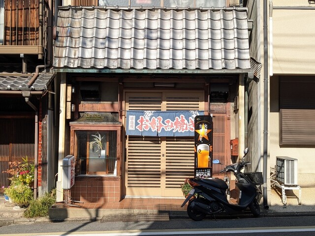 だるま的实拍高清图