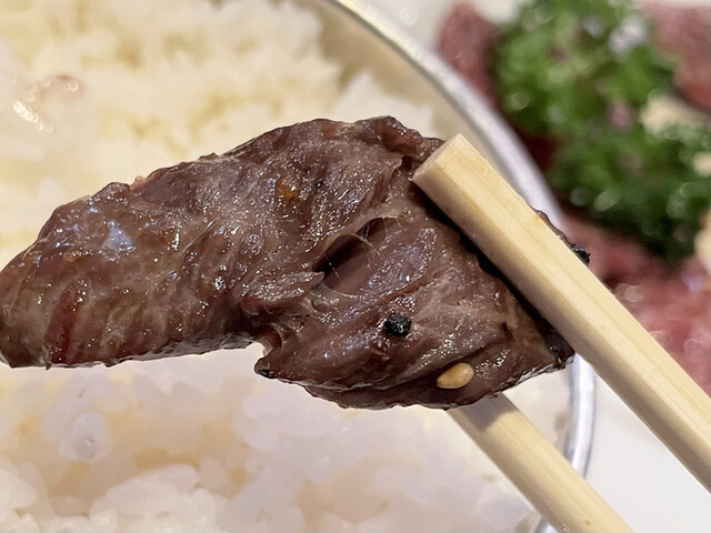 焼肉 匠苑的实拍高清图