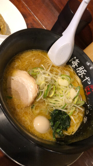 西新 海豚や的实拍高清图