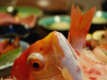 坂本屋的實拍高清圖