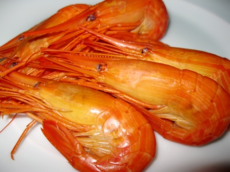 recommendations for 食彩　ひな