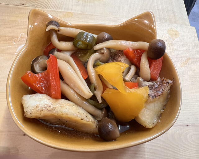 おさかな 魚四季的實拍高清圖