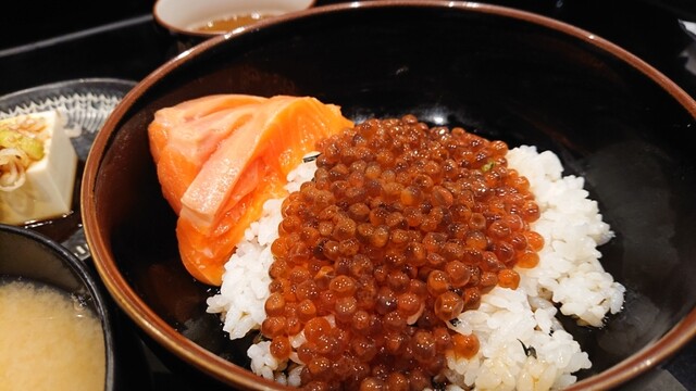 高はし的實拍高清圖