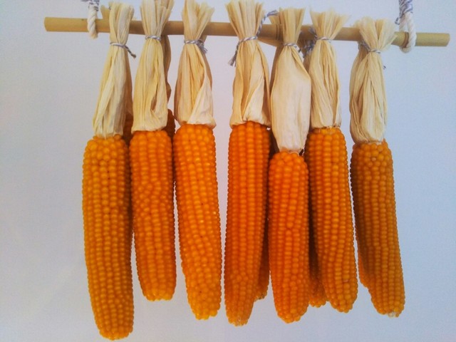 recommendations image for 京都かめよし 北山Labo&Shop