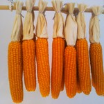 recommendations for 京都かめよし 北山Labo&Shop