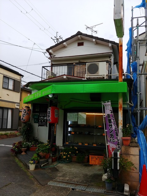 わかば的实拍高清图