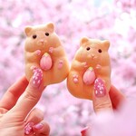 グランドキヨスク 京都店的實拍圖