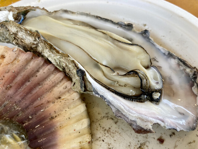 カキ小屋ベイサイド的實拍高清圖