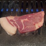 千日前 上田商店的实拍图