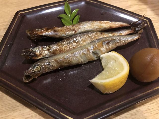 すぎのこ亭的实拍高清图