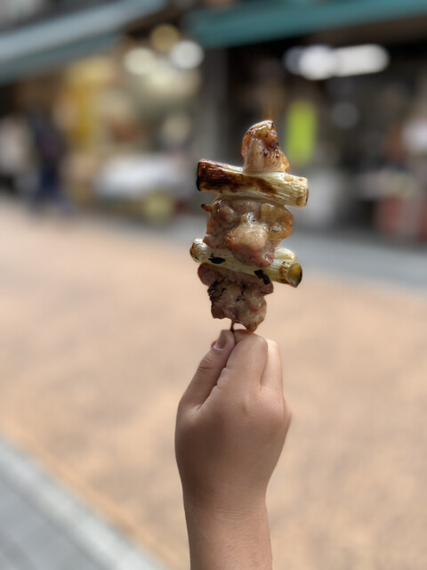 コバヤシ的實拍高清圖