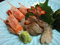 じゃじゃ馬的实拍高清图