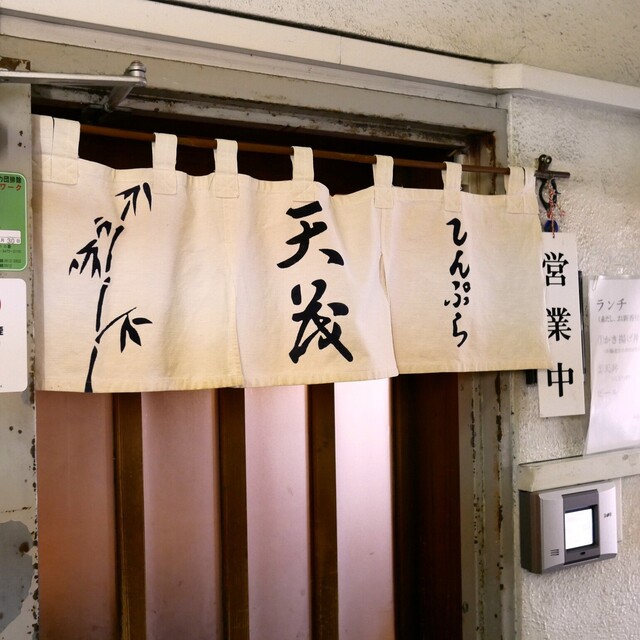 天茂的實拍高清圖