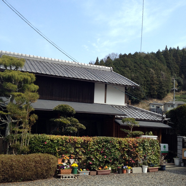 リンデンバウム的实拍高清图