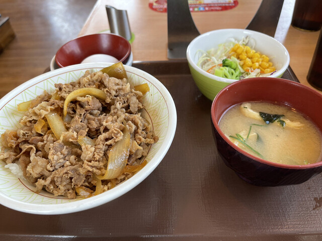 すき家 福知山東野パーク店的实拍高清图