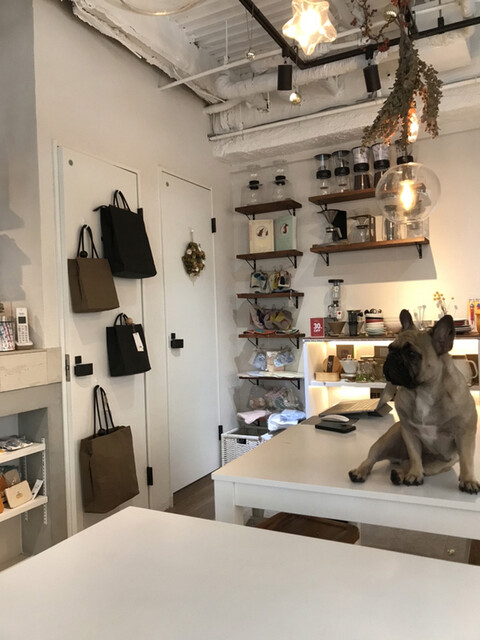 カタチ カフェ的實拍高清圖