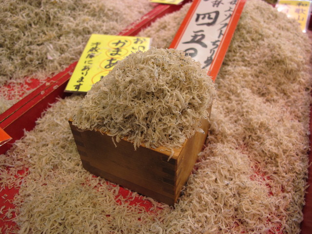 津乃弥的實拍高清圖