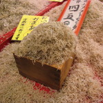 津乃弥的實拍圖