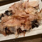 あほう鳥的實拍圖