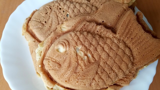 山鯛的实拍高清图
