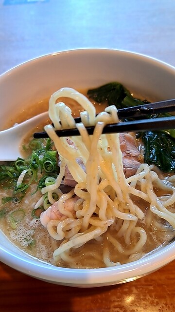 真鯛らーめん 麺魚 秋葉原UDX秋葉原拉麺劇場店的实拍高清图