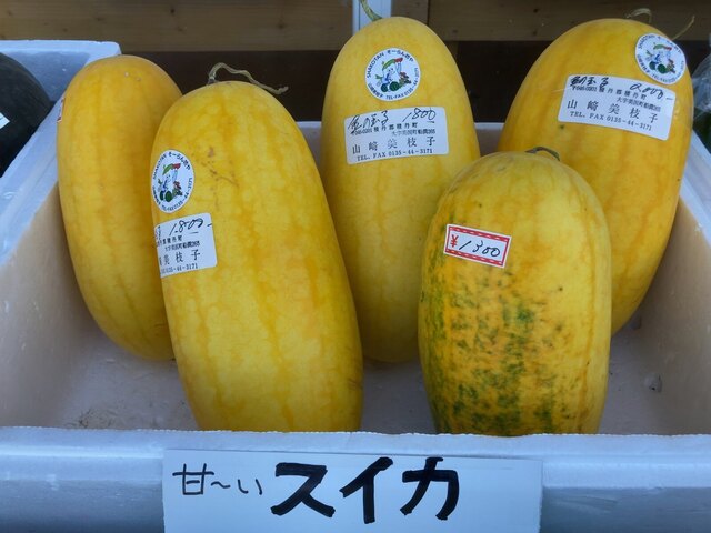 岬の市場的实拍高清图